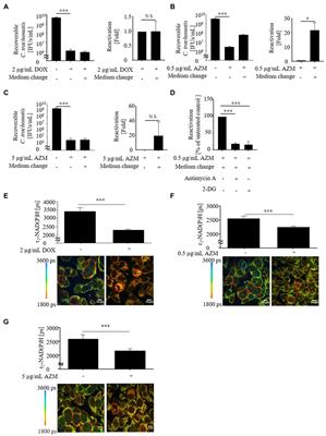 Impact of First-Line Antimicrobials on Chlamydia trachomatis-Induced Changes in Host Metabolism and Cytokine Production